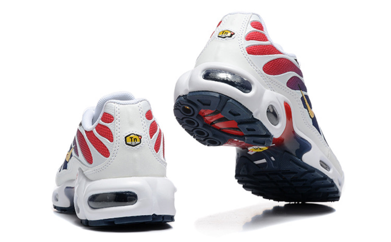 Air Plus TN France