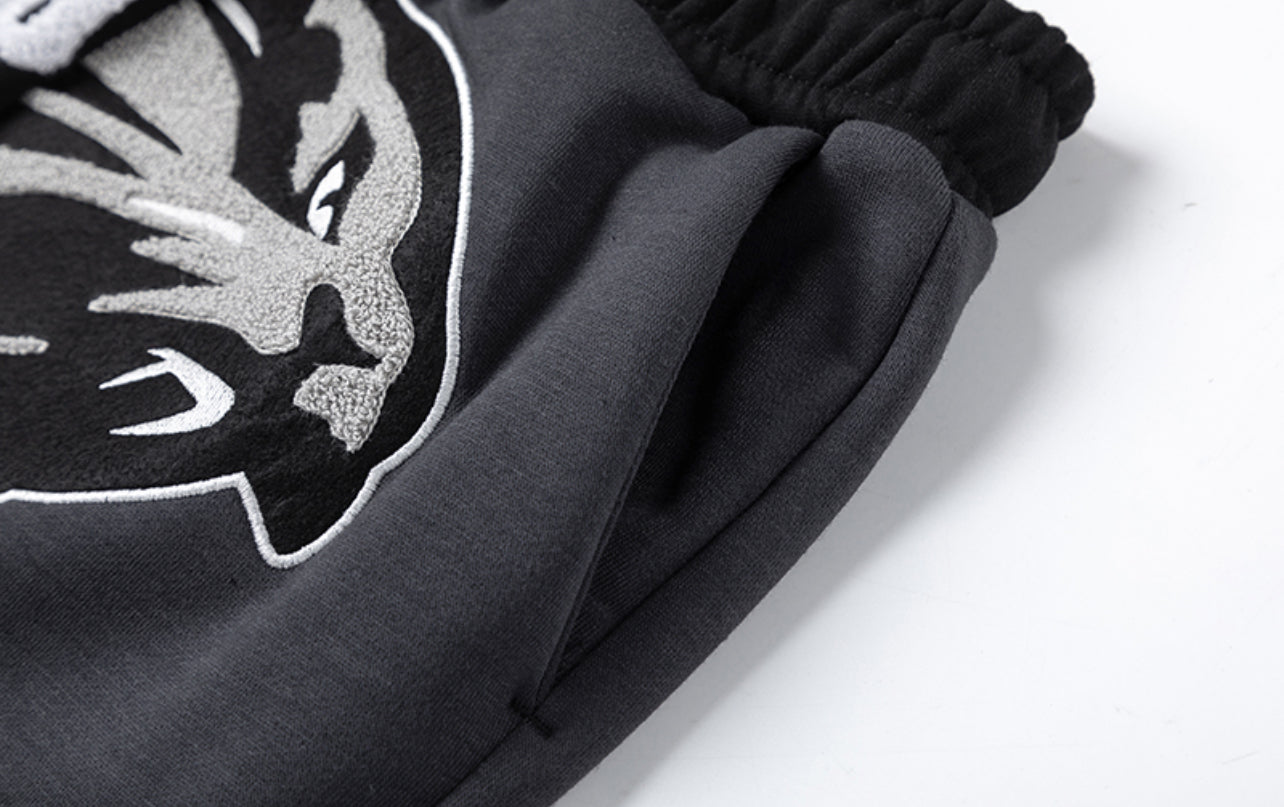 Trapstar Hoodie & Pants