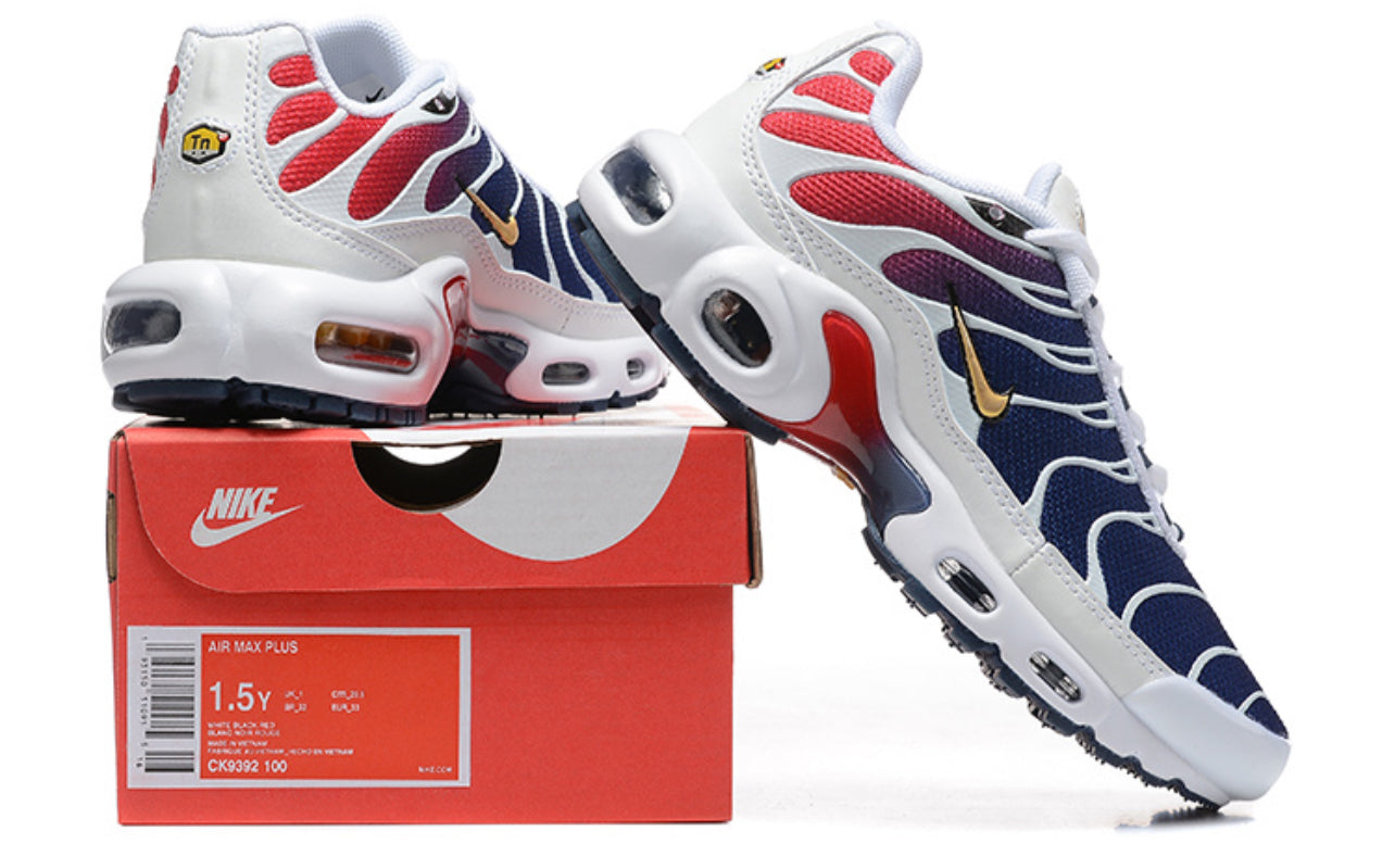 Air Plus TN France