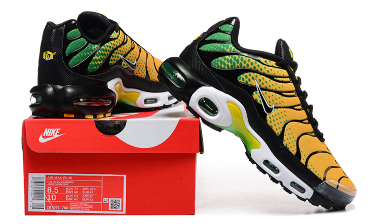 Air Plus TN Brazil