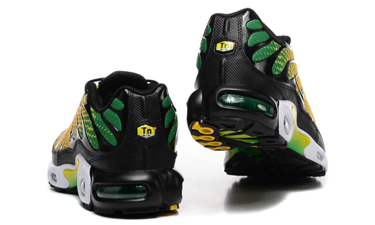 Air Plus TN Brazil