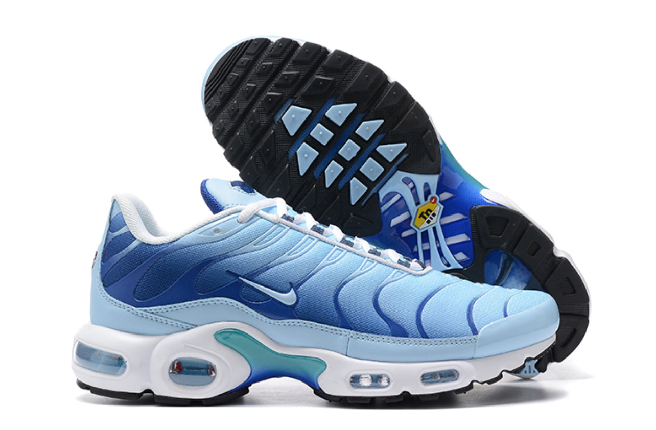 Plus TN Blue-White