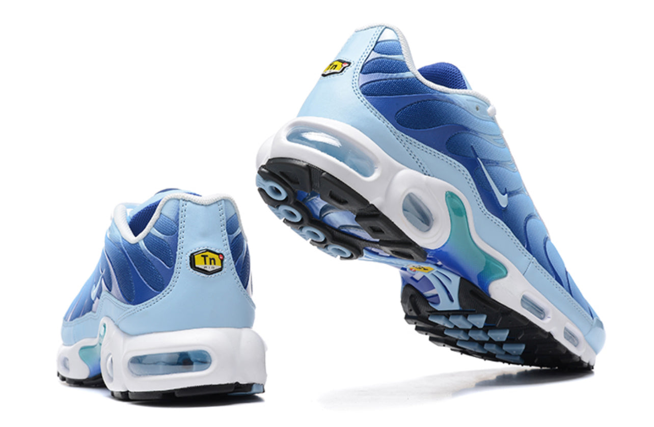 Plus TN Blue-White