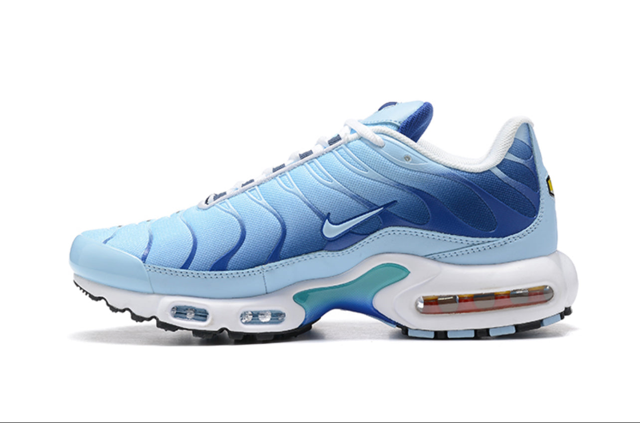 Plus TN Blue-White