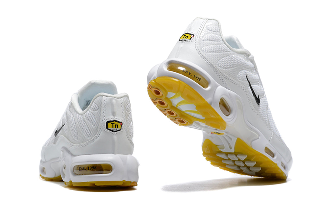 Air Plus TN M Frank Rudy