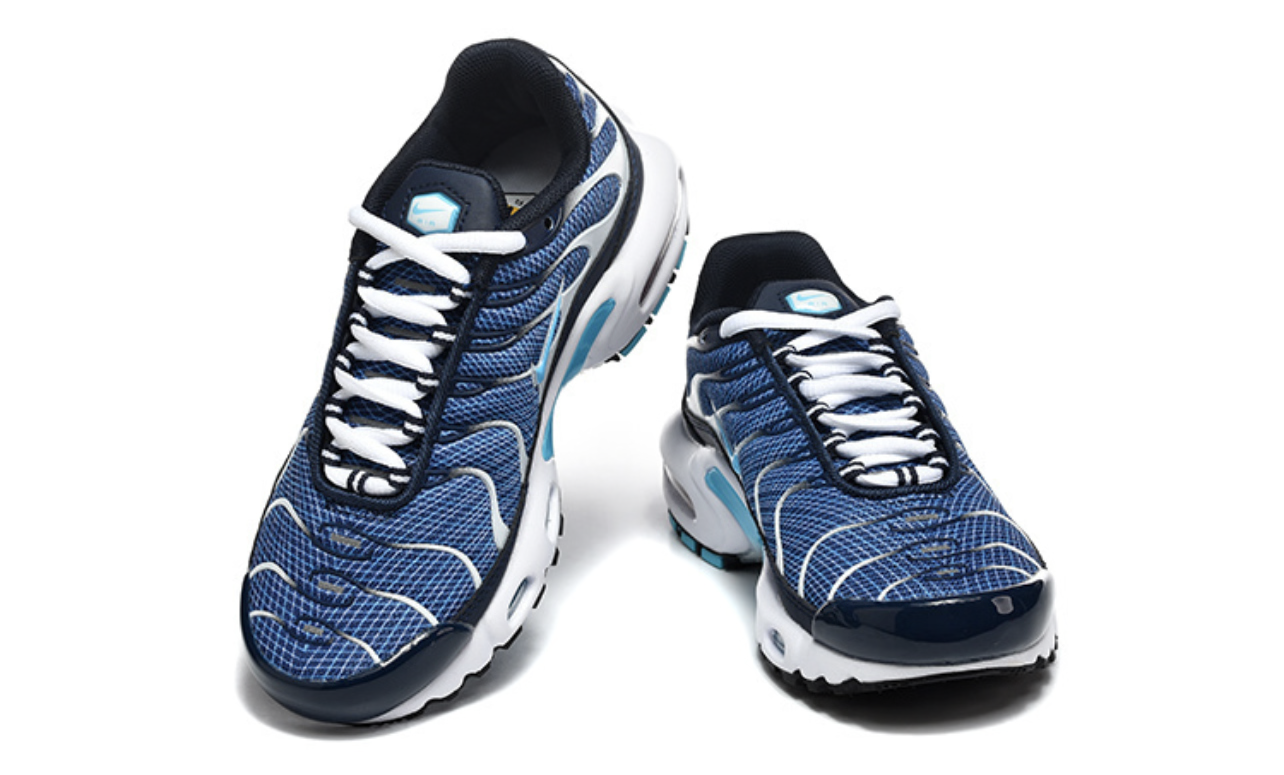 TN Air Max Plus Ocean 🌊 Blue