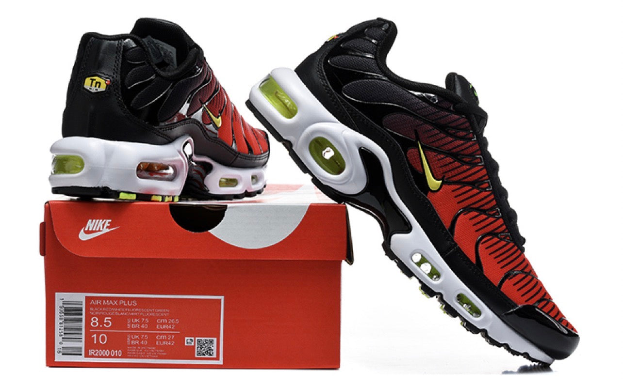 Air Plus TN Palm Tree
