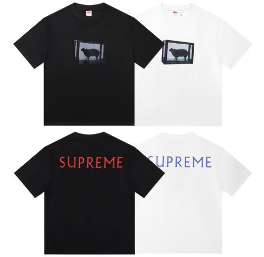 Supreme T-Shirts
