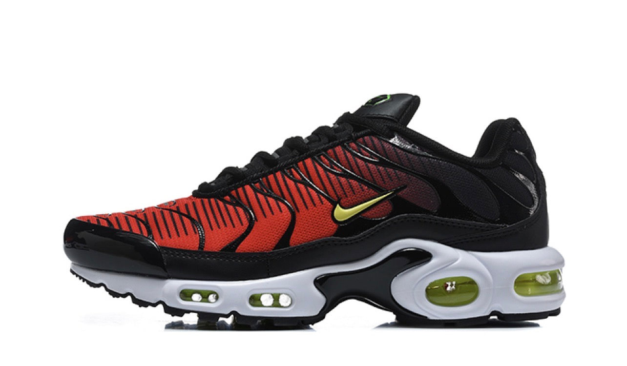 Air Plus TN Palm Tree