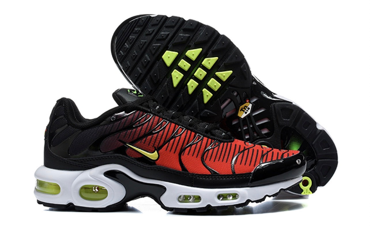 Air Plus TN Palm Tree