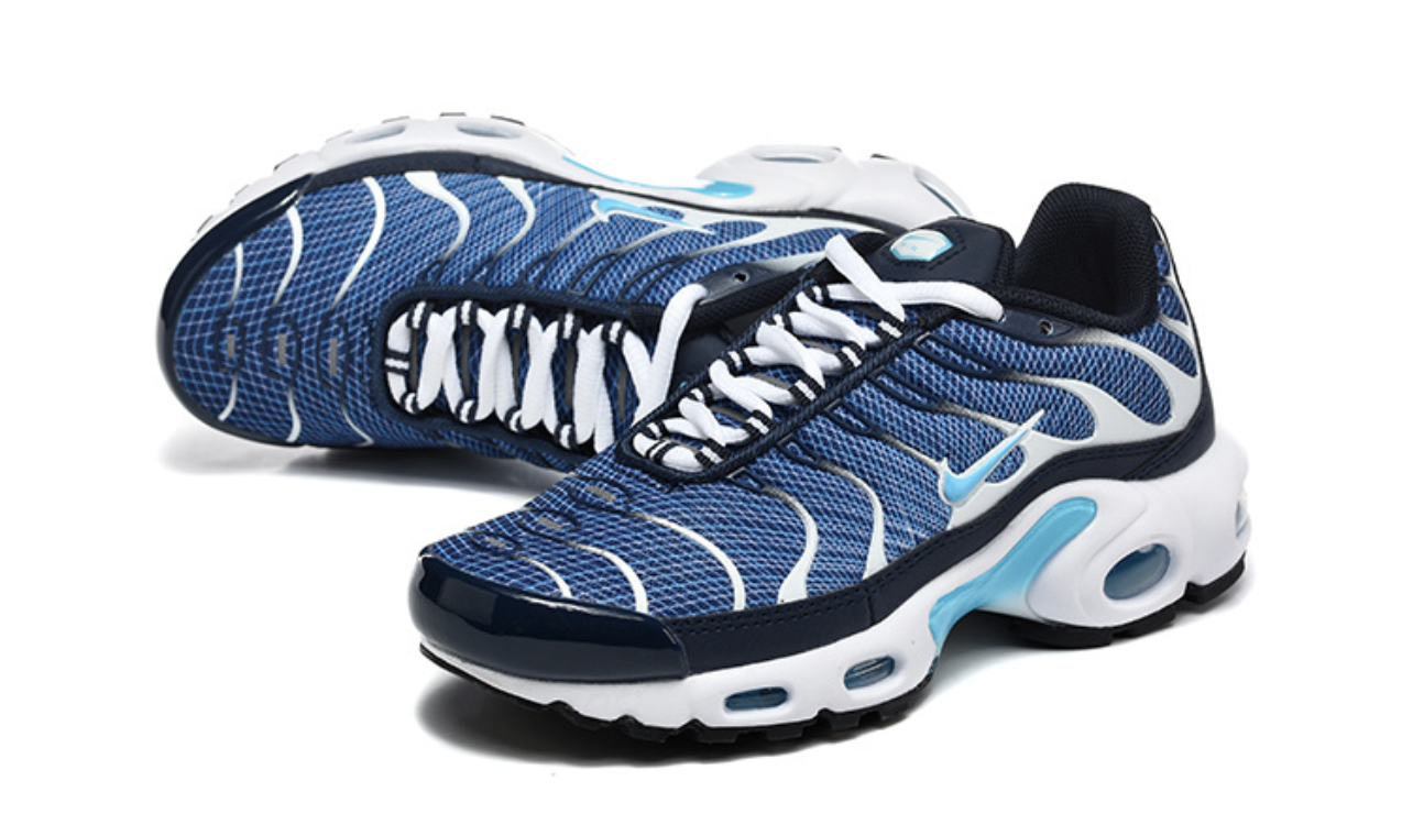 TN Air Max Plus Ocean 🌊 Blue
