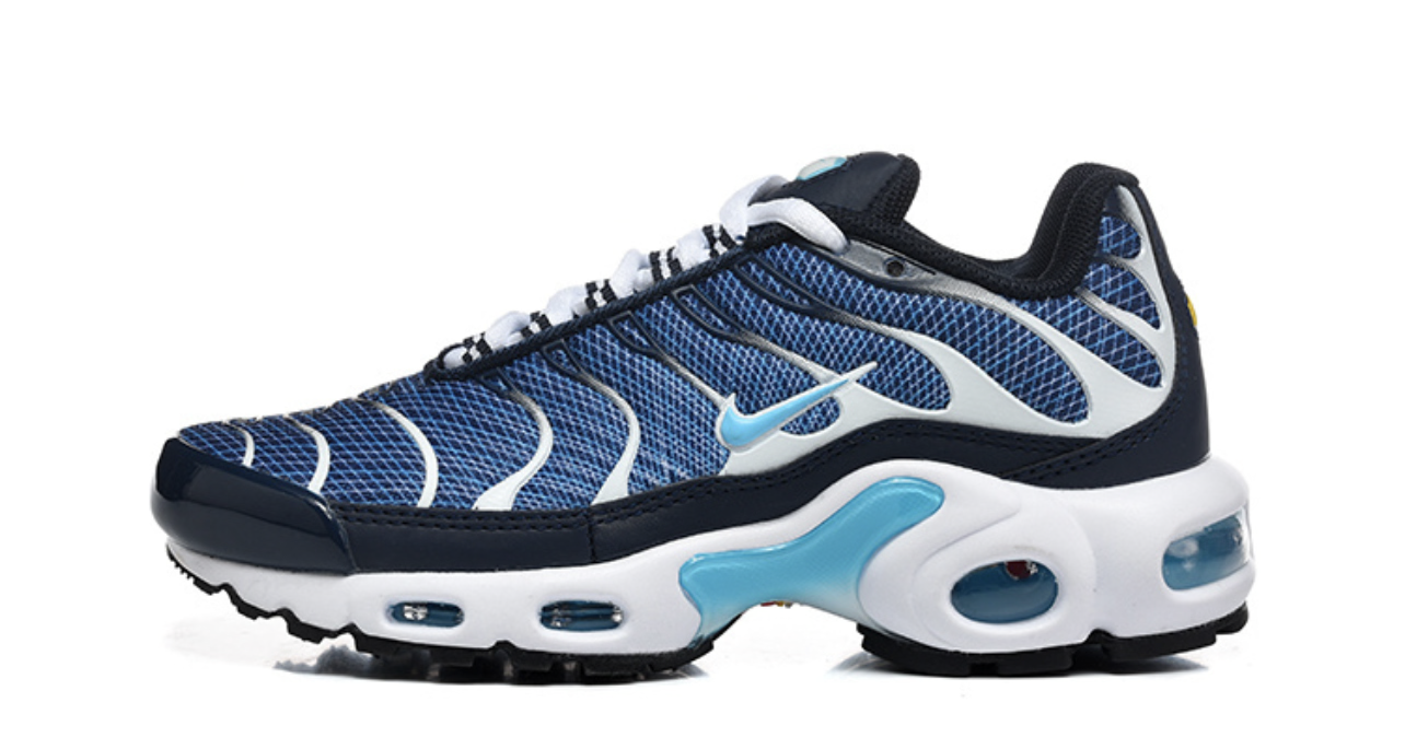 TN Air Max Plus Ocean 🌊 Blue