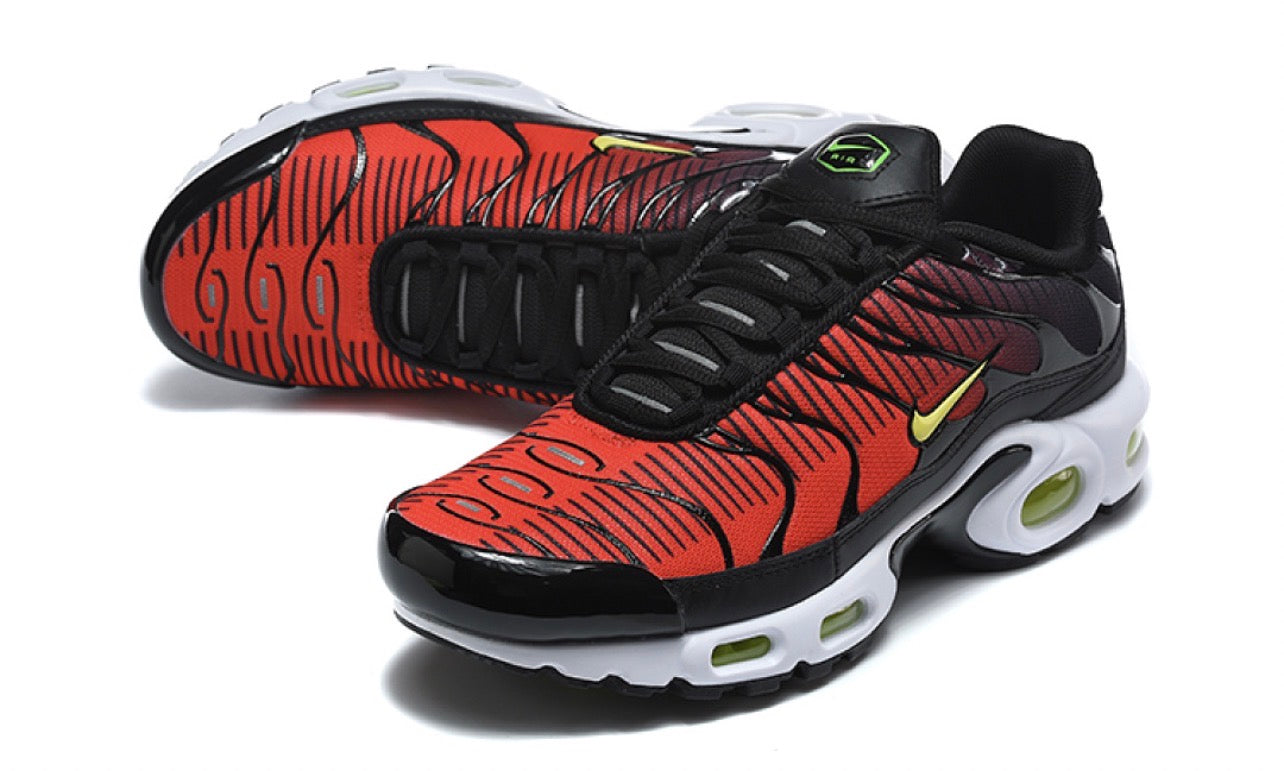 Air Plus TN Palm Tree