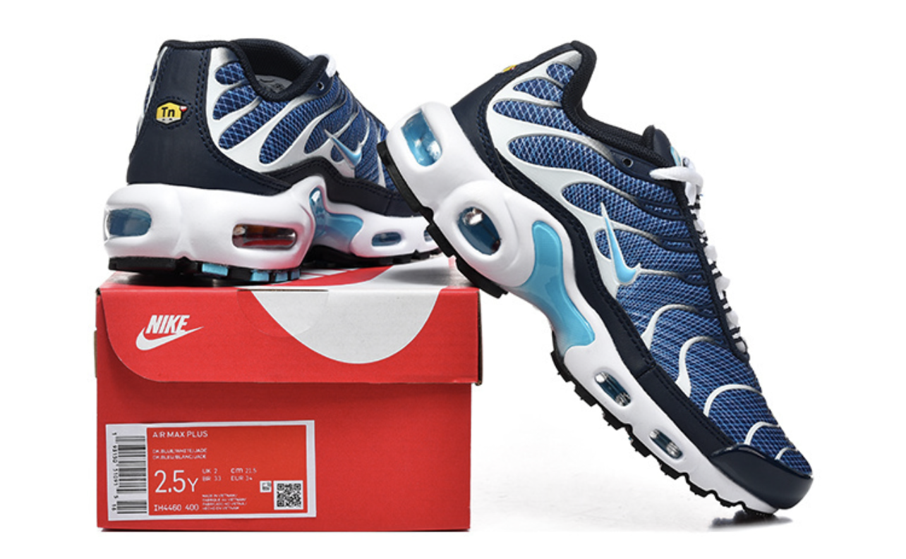 TN Air Max Plus Ocean 🌊 Blue