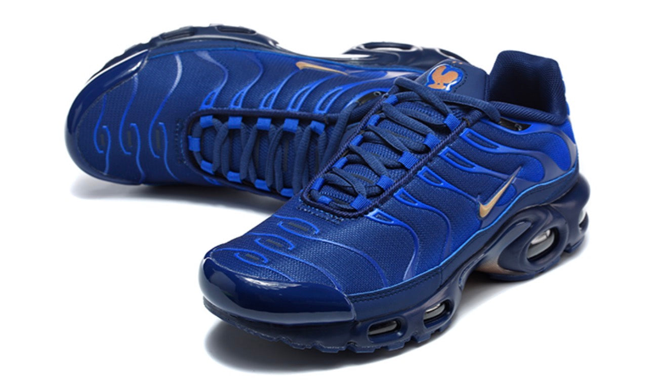 nike air max plus men's